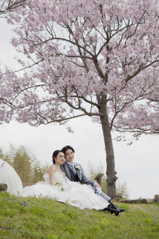 春の撮影に向けて・・