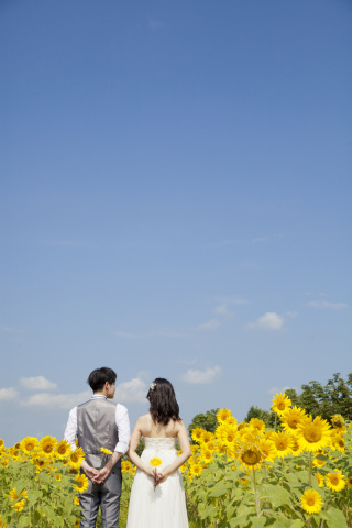 ひまわりロケーション撮影☆