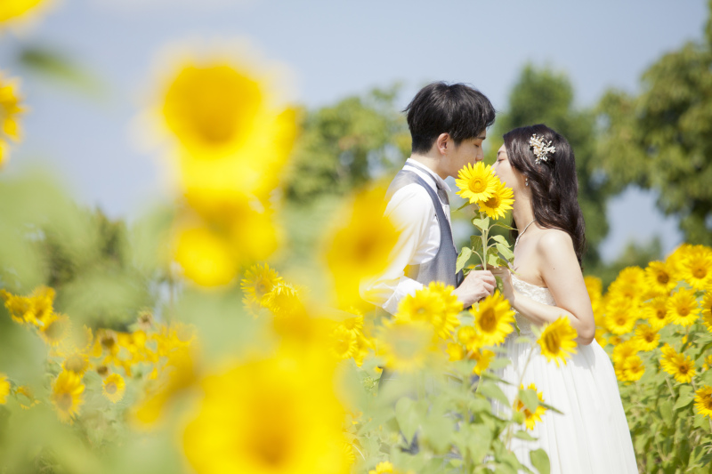 夏のロケ撮影ご予約受付中です☆