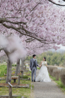 桜ロケーション撮影受付中です☆