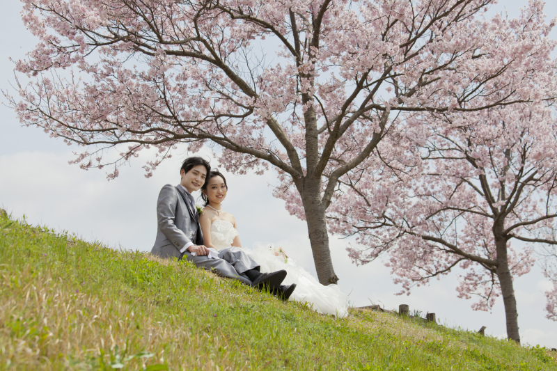 春撮影に向けて♪来店相談予約・撮影日空き確認もご連絡ください◎