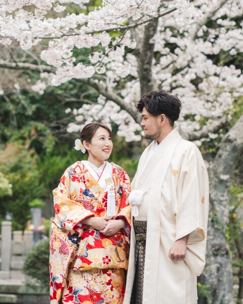 桜に包まれる寺院ショット