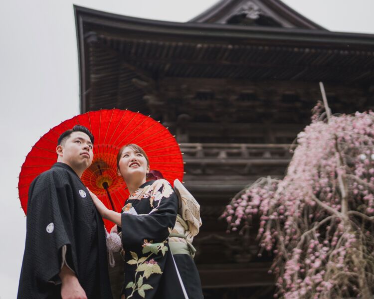 桜に包まれる寺院ショット