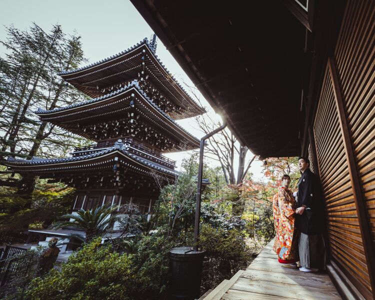 彩る紅葉、高輪の寺院で特別な一枚【高輪】