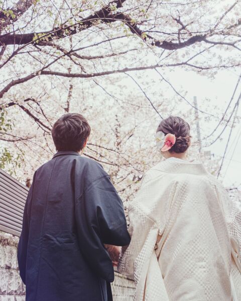 桜に包まれる寺院ショット