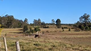乗馬つきプランはいかが？