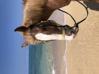 6月成約のお得なキャンペーンのお知らせ♪