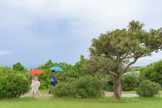 雨の中でも素敵な思い出のお写真に!