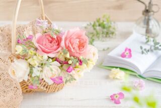 結婚記念日にフォト撮影でお祝い!