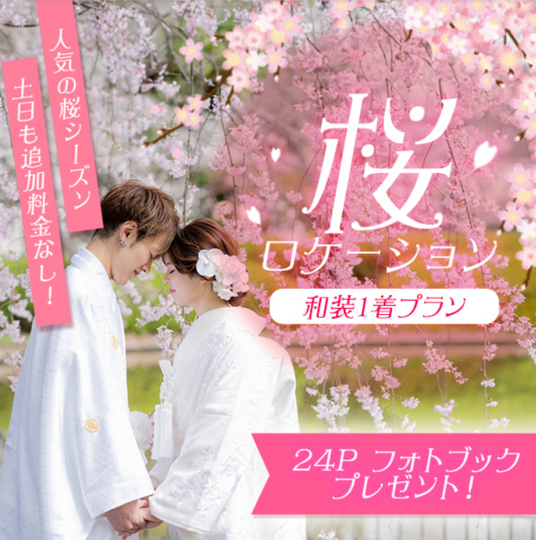 桜フォトウェディングのご案内