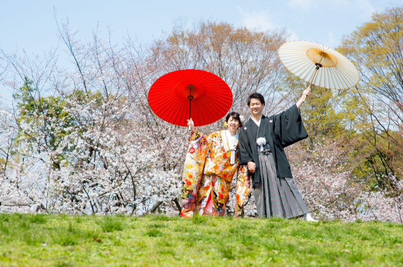 桜前撮り始まってます