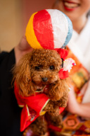 ペットちゃんとの撮影