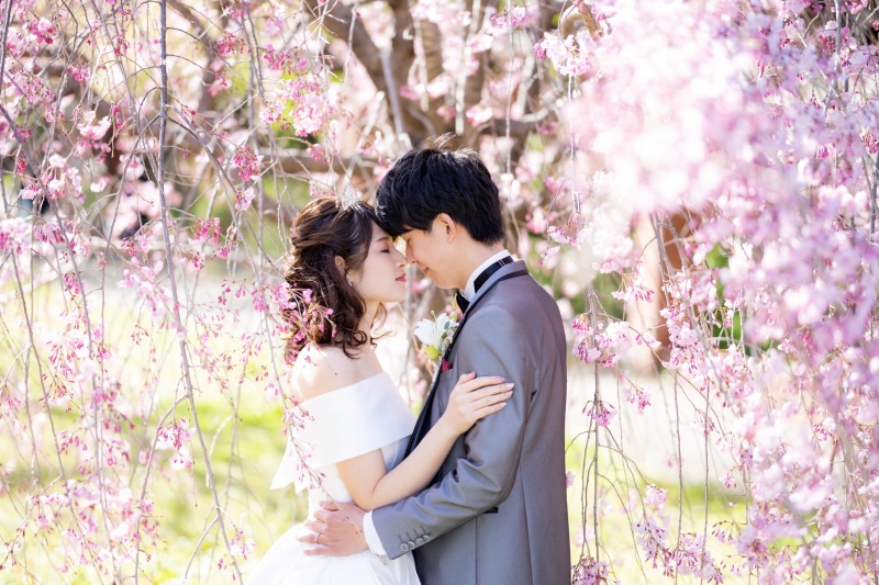 桜との撮影予約❣️