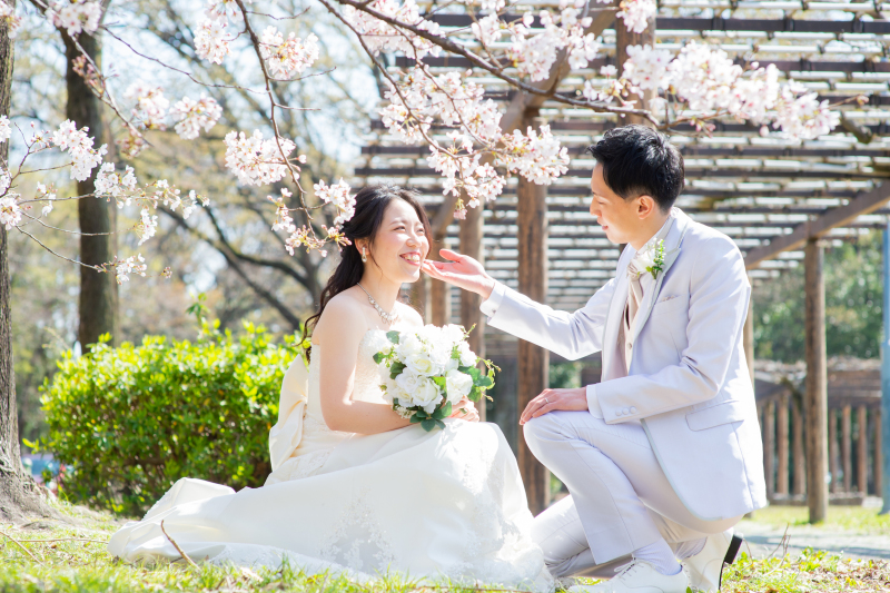 桜前撮り始まってます