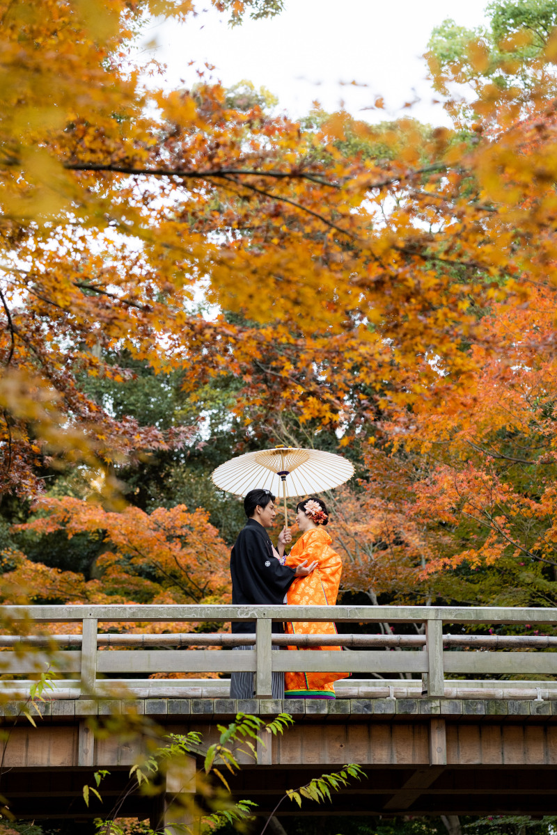 紅葉の日本庭園