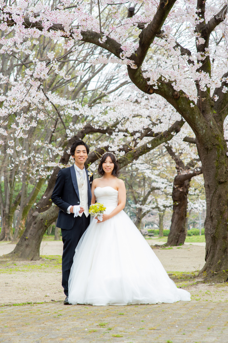 桜前撮り始まってます
