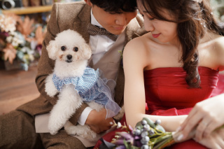 ペットと一緒に撮影