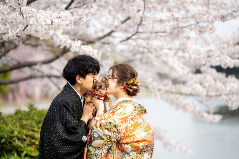 桜♡残りわずかです