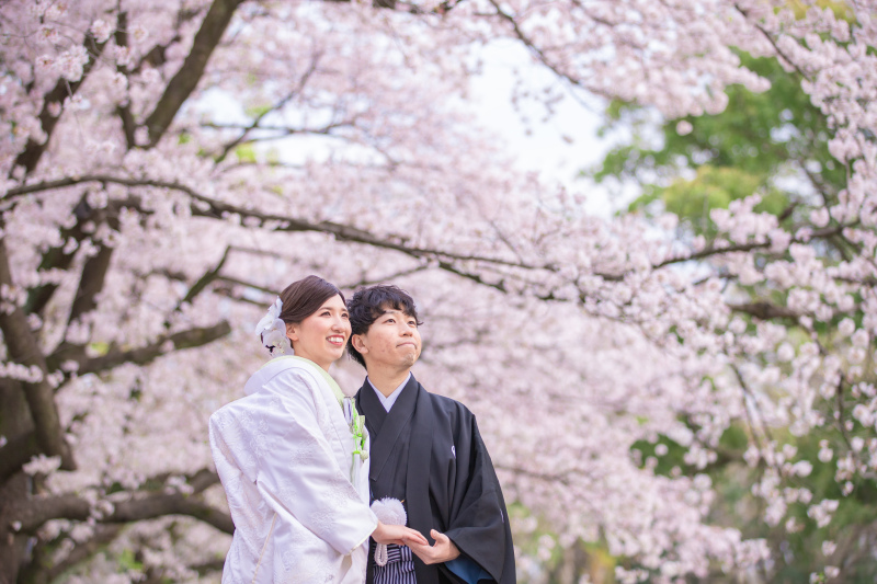 桜で前撮り