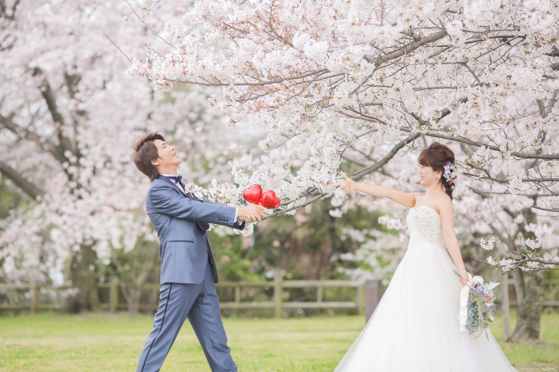 桜で前撮り