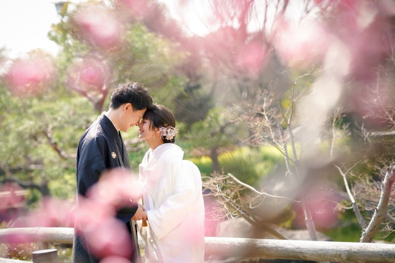 ”桜“の予約はじまってます!