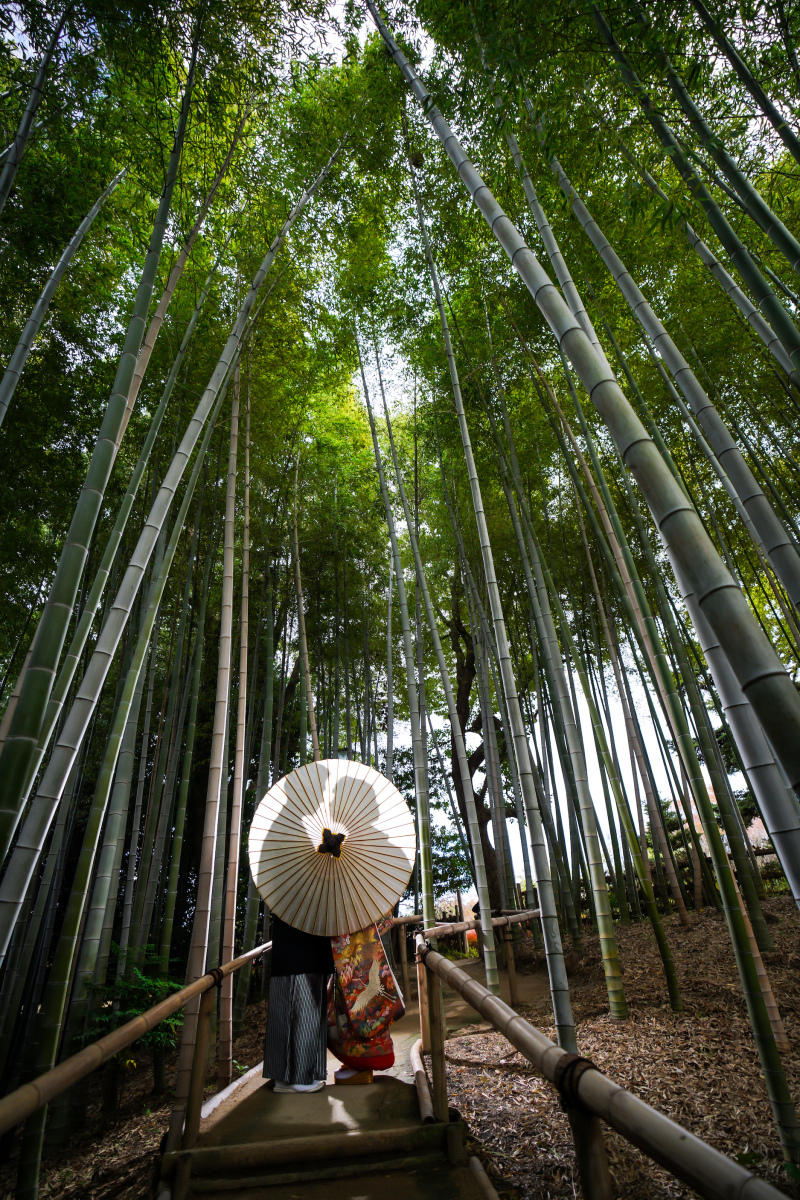 白鳥庭園