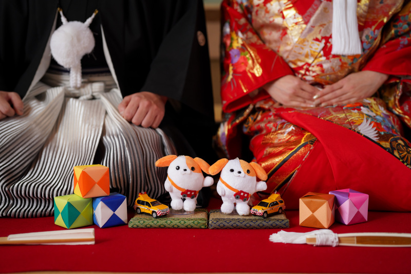 1月の白鳥庭園での撮影レポート!