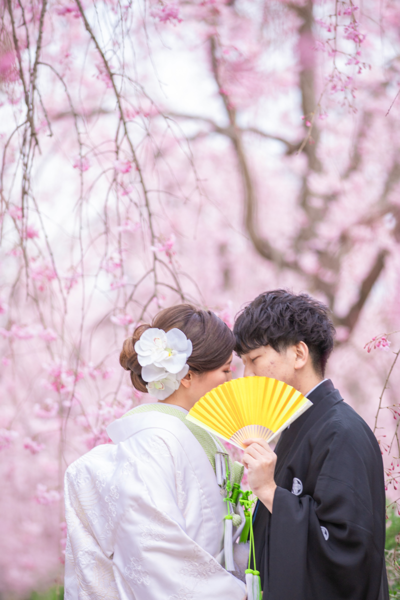 桜前撮り始まってます
