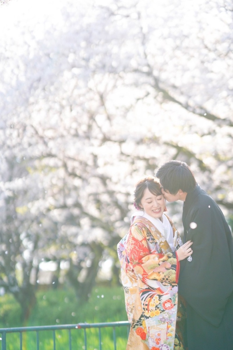 桜前撮り始まってます