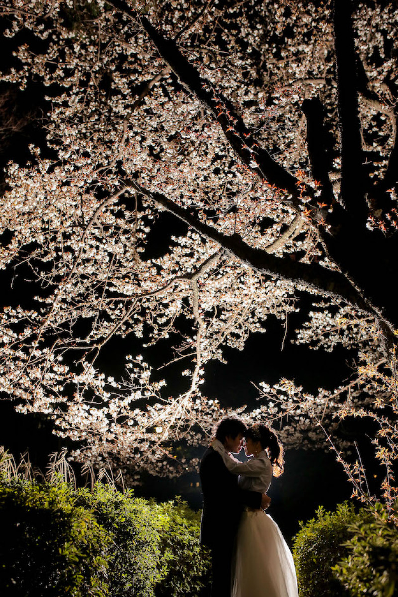 桜前撮り始まってます