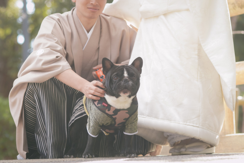 ペットのわんちゃんとのロケ撮影