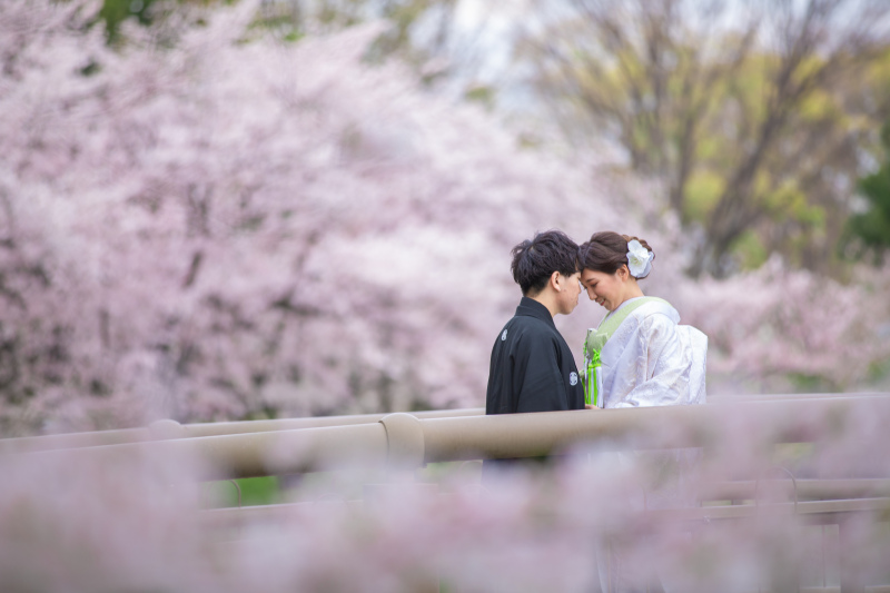 桜前撮り始まってます