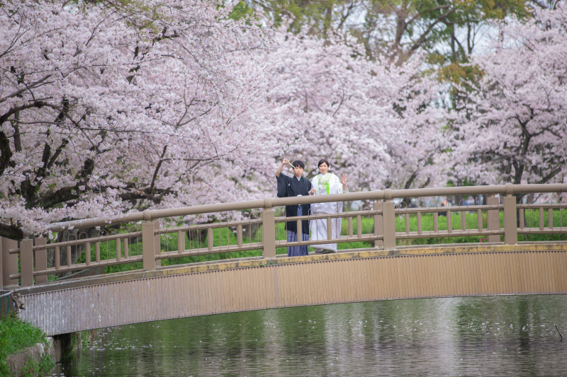 桜前撮り始まってます