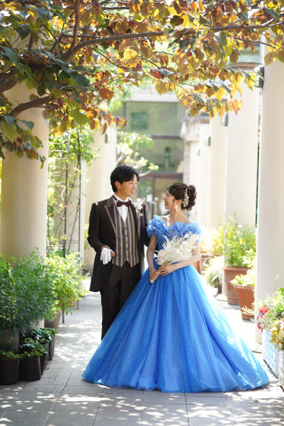 コンプレックスカバー