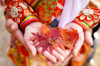 紅葉撮影の受付開始　徳川園