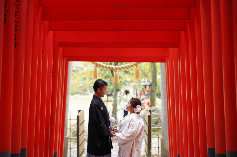 赤い鳥い