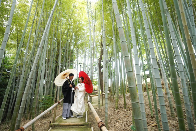 ロケ地のご紹介と紅葉ロケ撮影おはなし◎