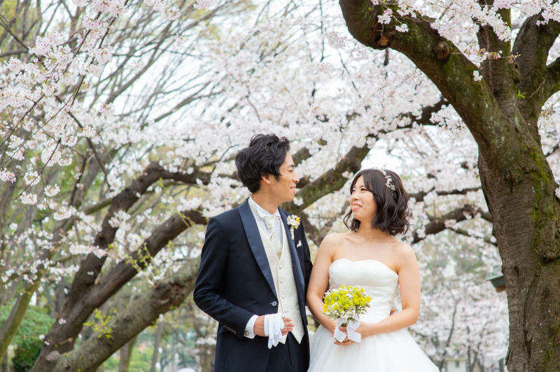 桜前撮り始まってます