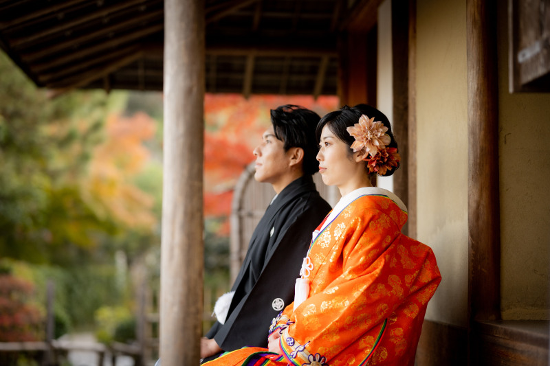 紅葉の日本庭園