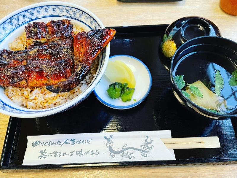栄養補給