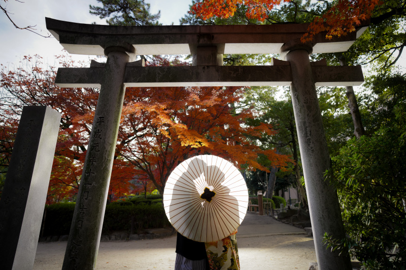 紅葉2023中村公園-後編-