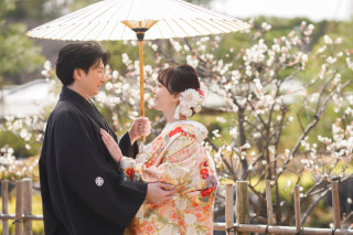 打掛に込められた吉祥文様の意味