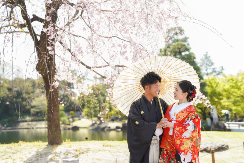 桜の予約始まってます