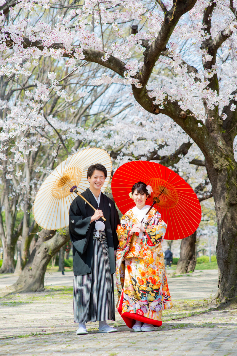 桜前撮り始まってます
