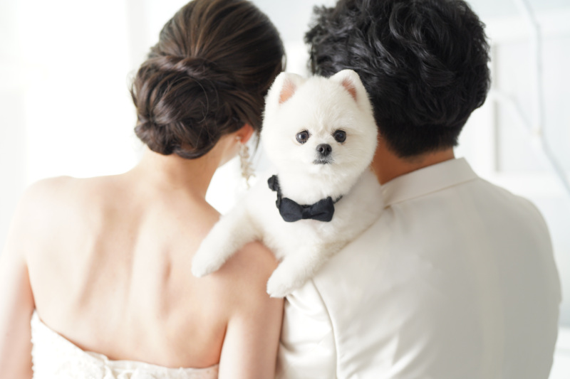 大切なペットちゃんとの撮影❣️