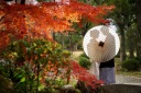 もうすぐ紅葉のシーズン