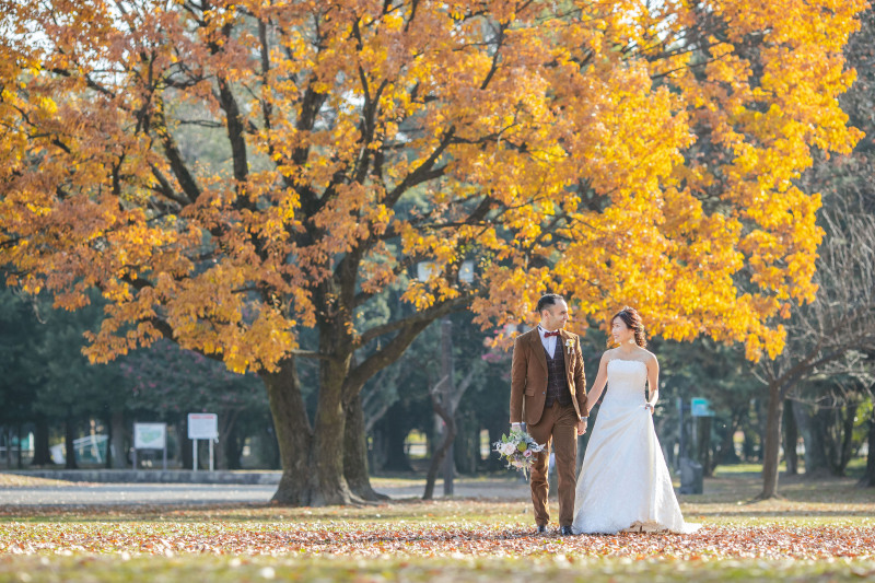 庄内緑地公園ももうすぐ紅葉受付