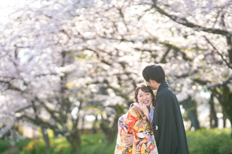 桜前撮り始まってます
