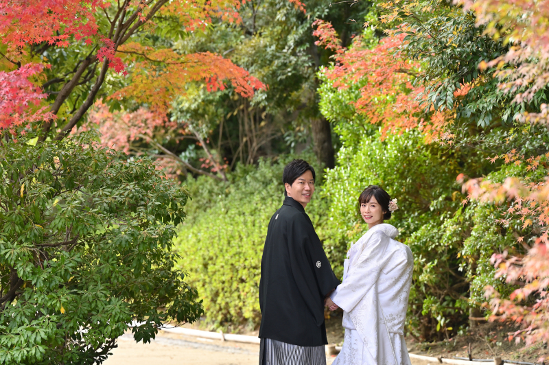 撮影の注意とポイント