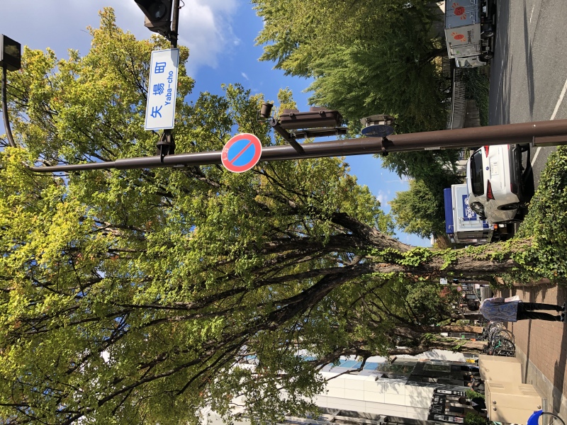 意外な撮影スポット?